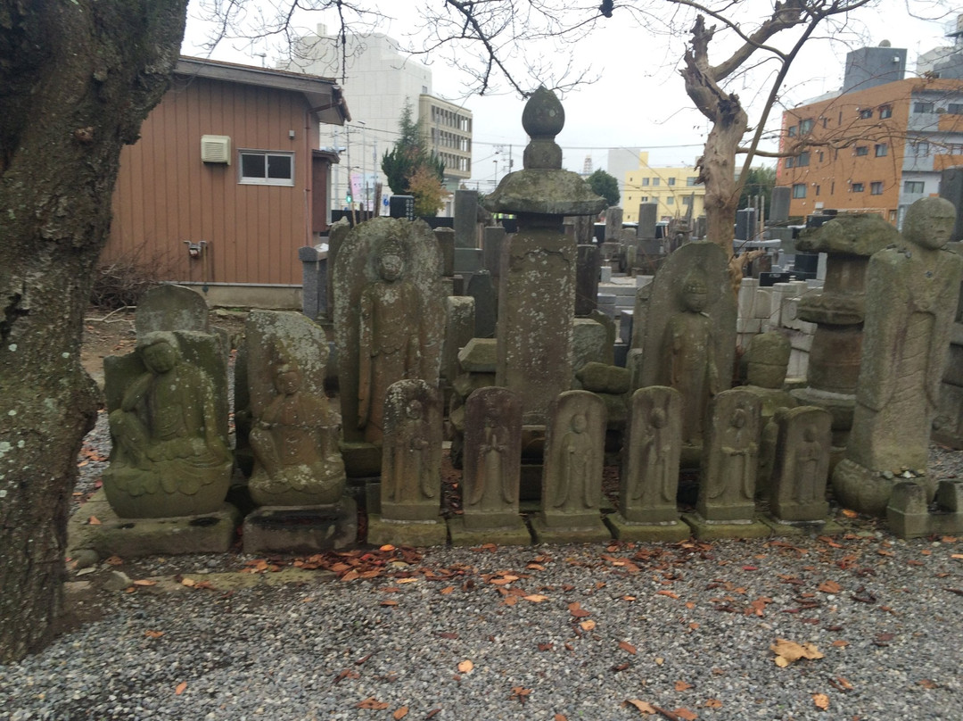 Joshin-ji Temple-土浦市必去景点