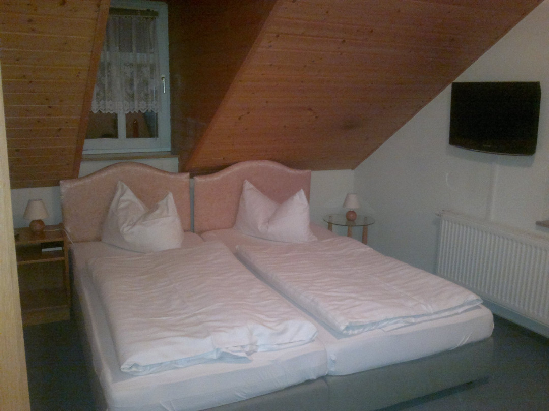 Parkhotel Waldschlosschen主图