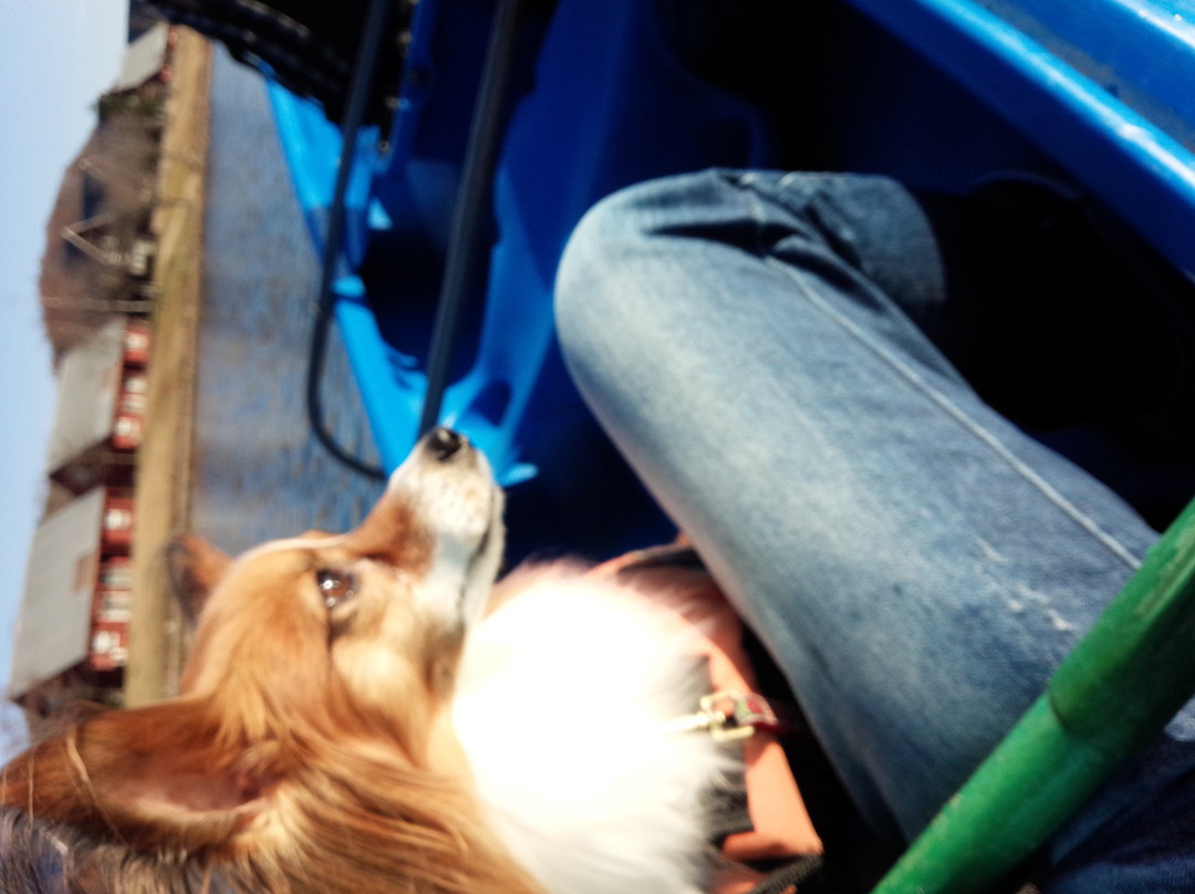 Angel Forest Nasu Shirakawa-天荣村必去景点