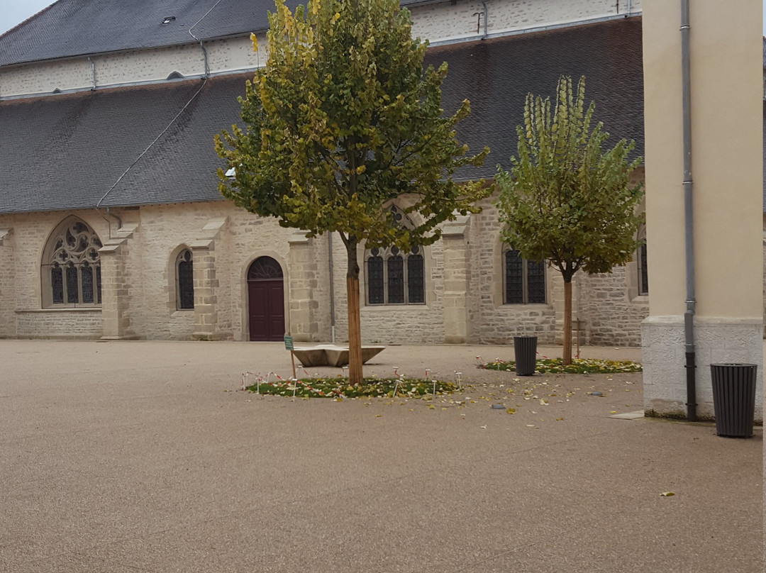 Église Saint-Désiré de Lons-le-Saunier景点图片
