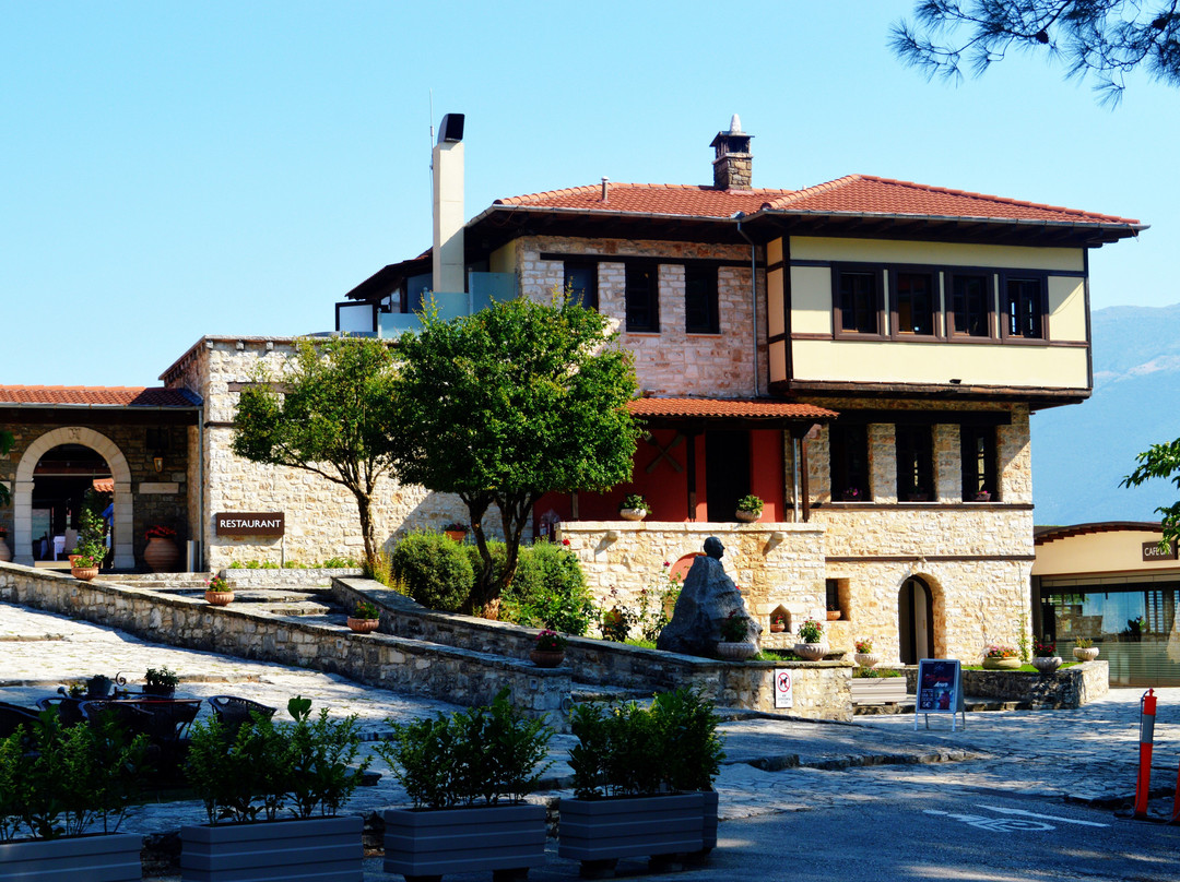 Frontzu Politia主图