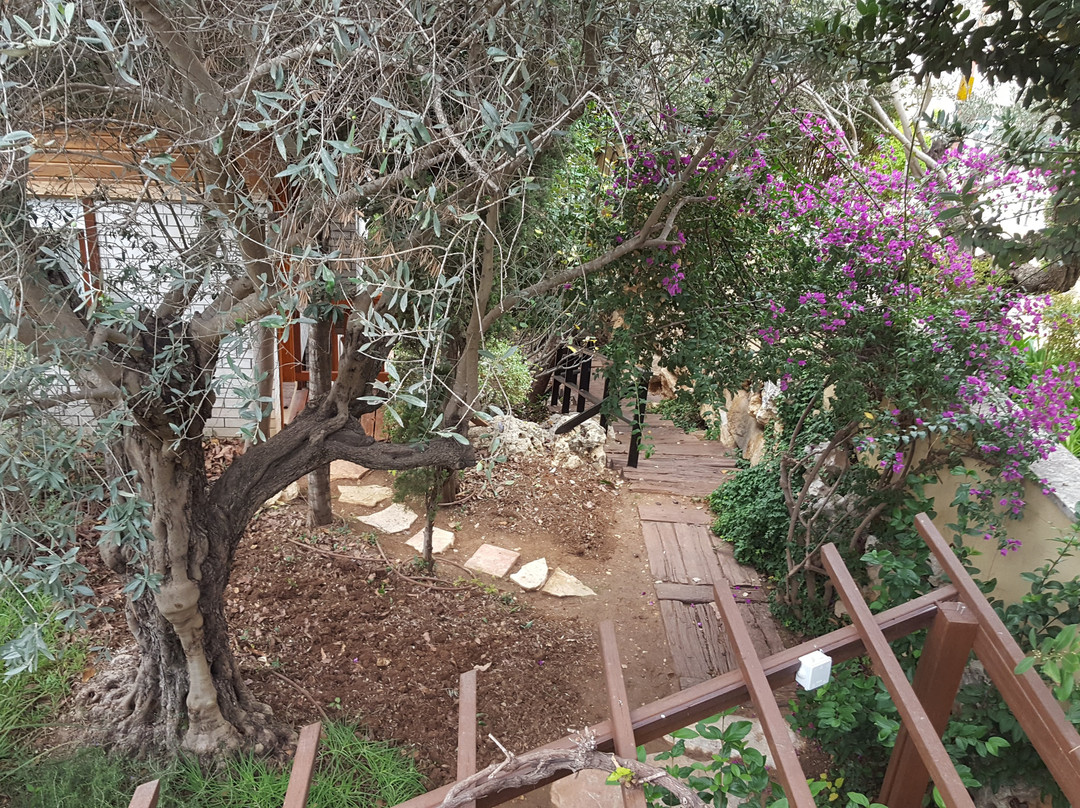 Etz VaMaim-Ein Kerem必去景点