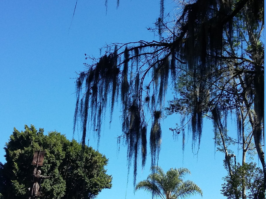 Parque Los Berros-哈拉帕必去景点