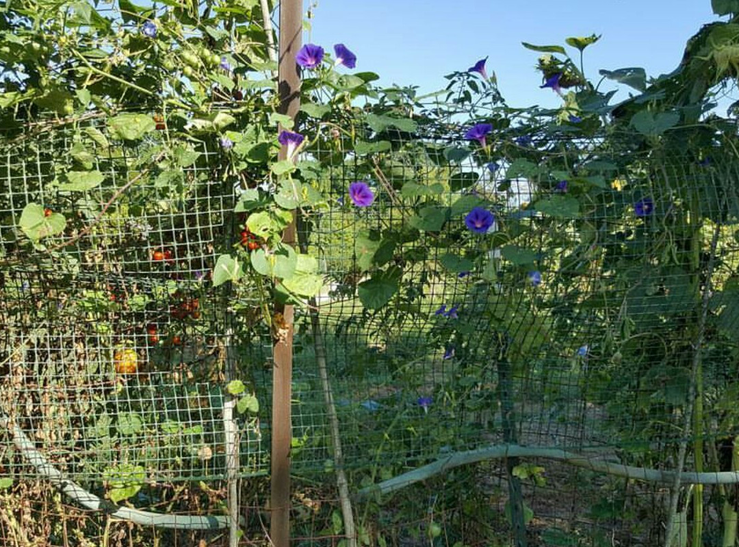 Greenway Farms Conference Center-Hixson必去景点