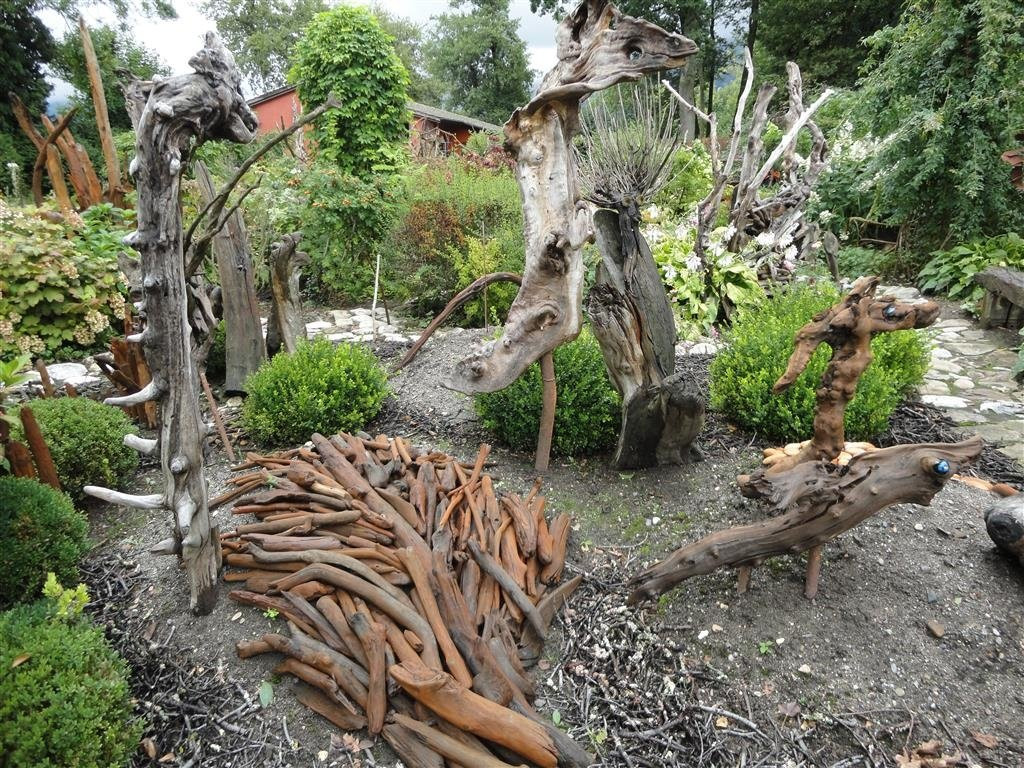 Réserve Naturelle des Grangettes景点图片