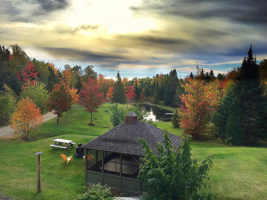 Petite-Riviere-Saint-Francois酒店住宿-Gite L'Ecureuil