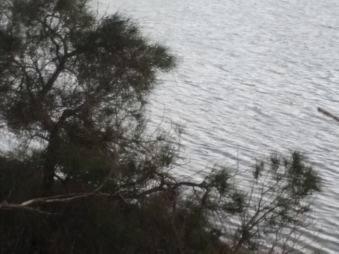 Greenough River-Greenough必去景点