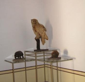 Guanuhaya Archaeology Museum景点图片