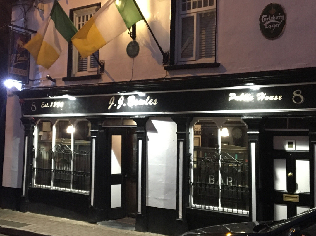 JJ Bowles-利默里克必去景点