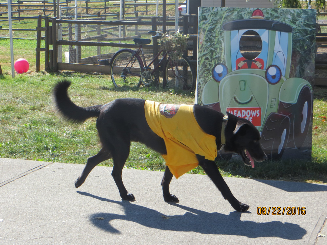 Hopcott Farms-匹特草原必去景点