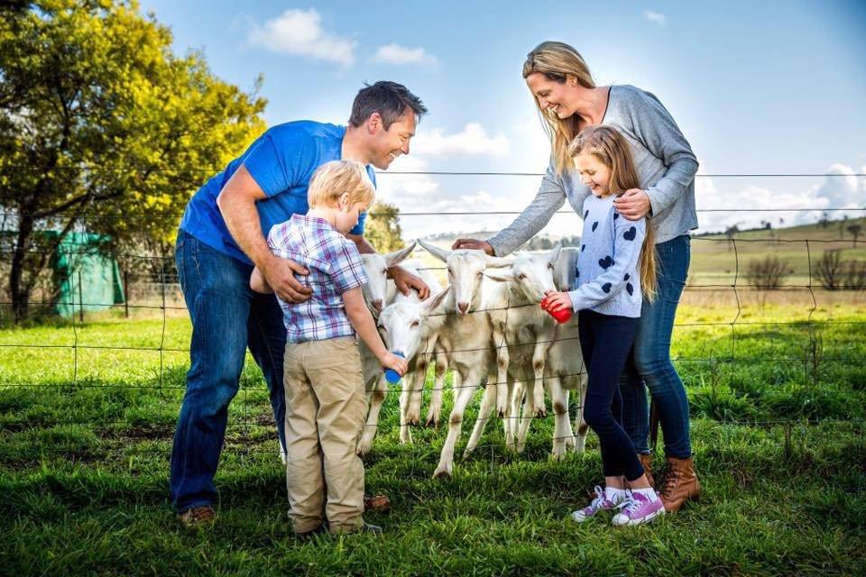 Sunhill Dairy Goats景点图片