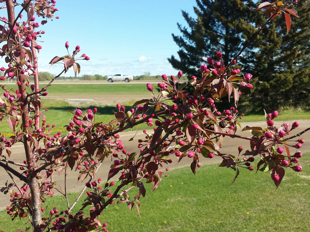 Spruce Woods Inn主图