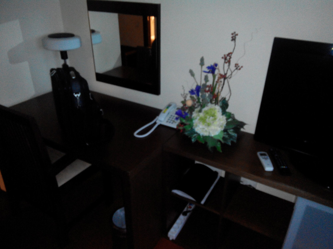 泽里勒酒店主图