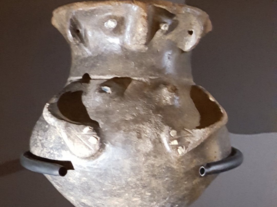 Museo Regional de la Araucania-特木科必去景点