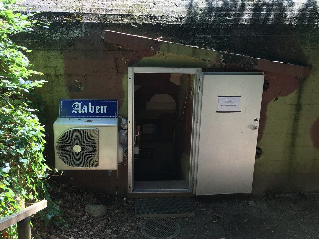 Silkeborg Bunker Museum景点图片