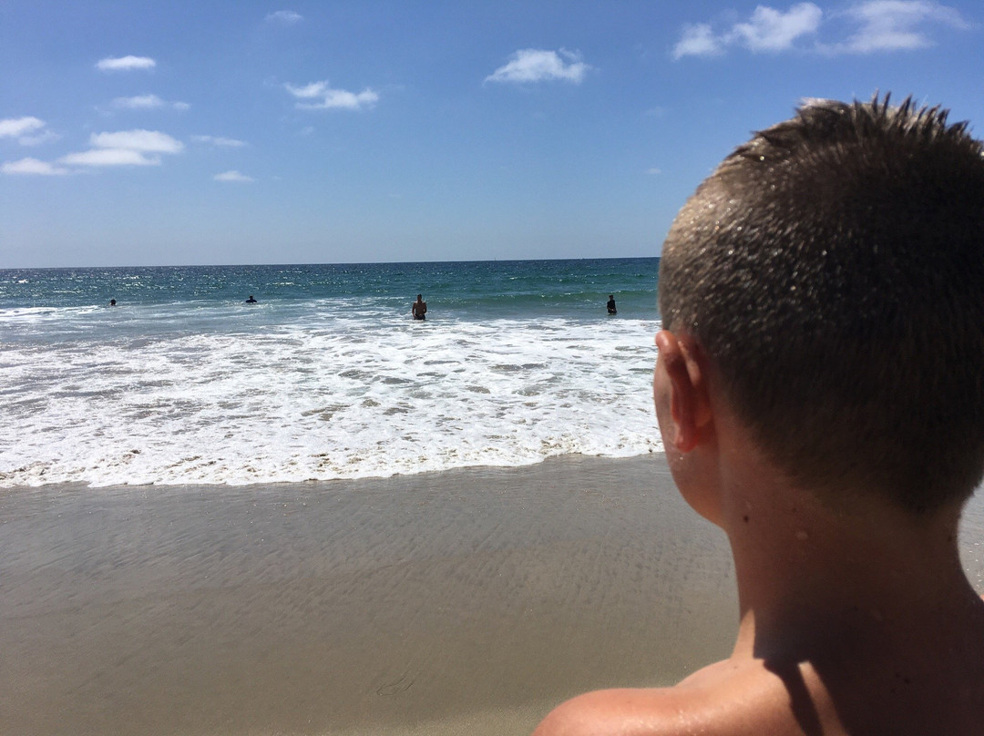 Torrance State Beach-雷东多海滩必去景点