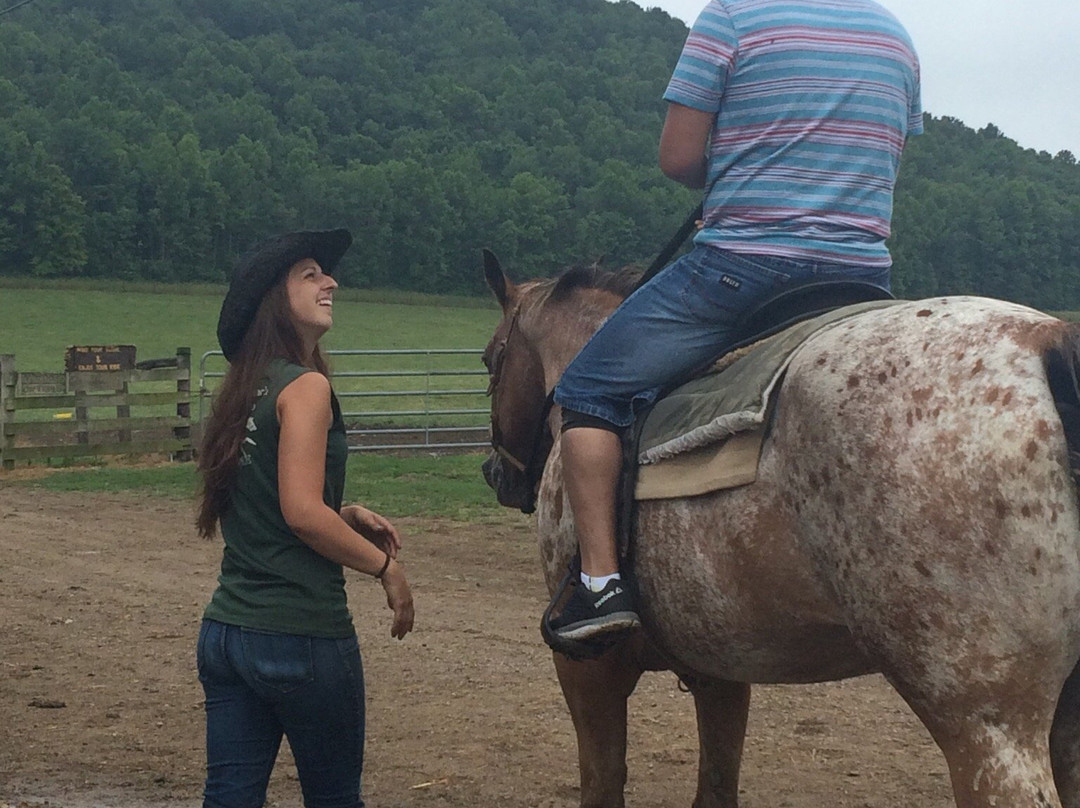 The Spotted Horse Ranch-Laurelville必去景点