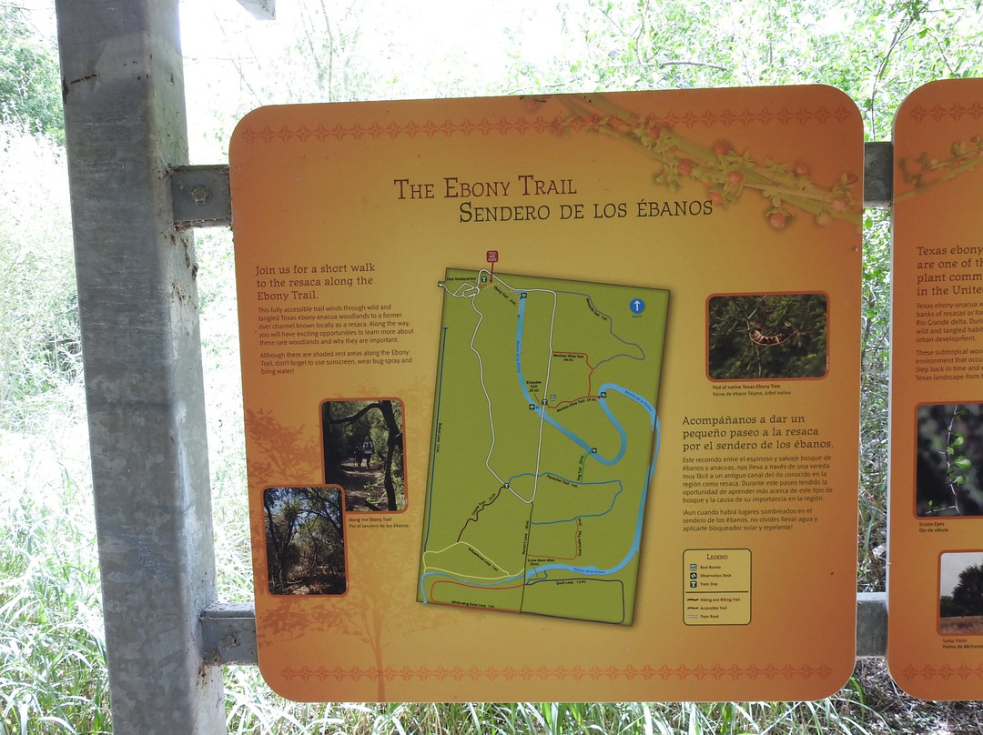 Resaca de la Palma State Park-布朗斯维尔必去景点