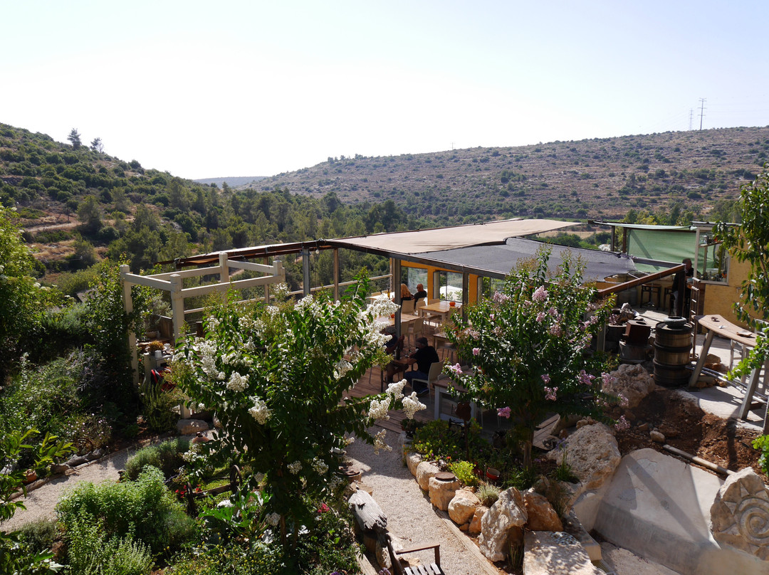 Hebron餐馆和美食-Ofer's Backyard - BaHatzer Shel Ofer