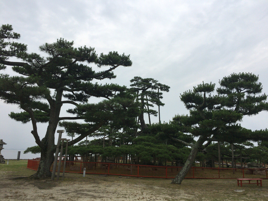 Karasaki Shrine-大津市必去景点