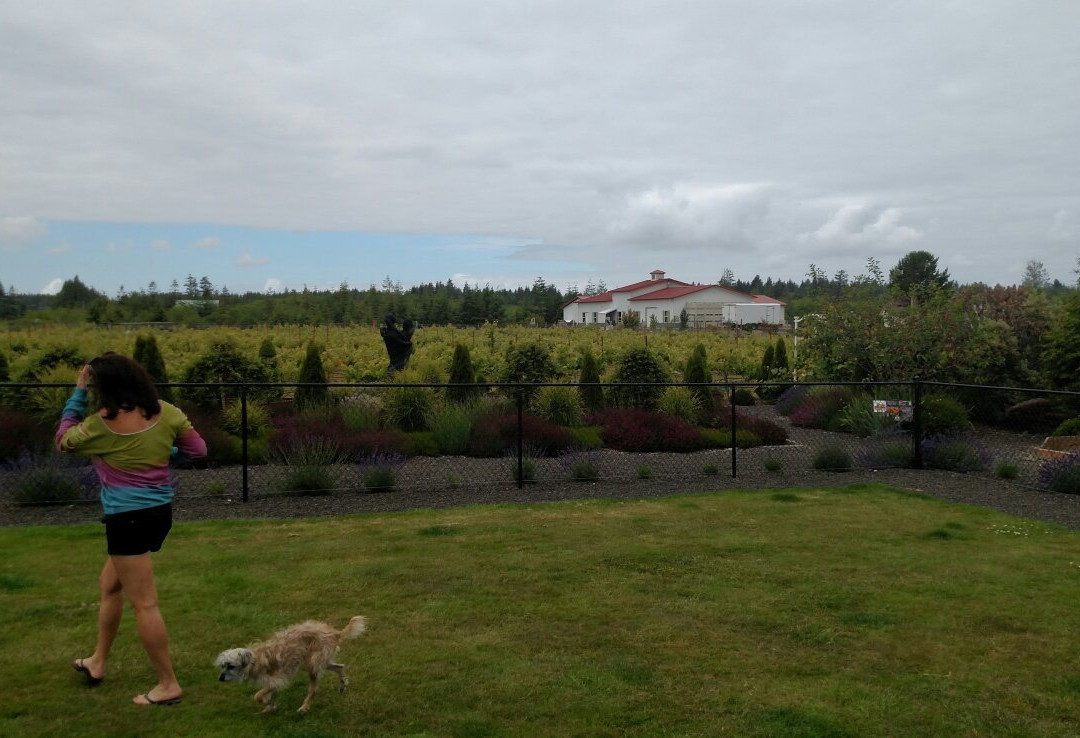Westport Winery Garden Resort景点图片
