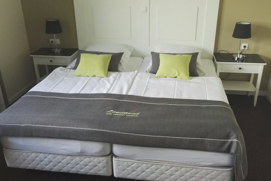 Landhotel Zum Grunen Kranze主图