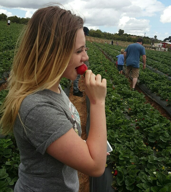 Kenny's Strawberry Farm-Fallbrook必去景点