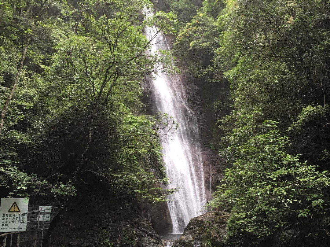 淡竹原始森林-仙居县必去景点