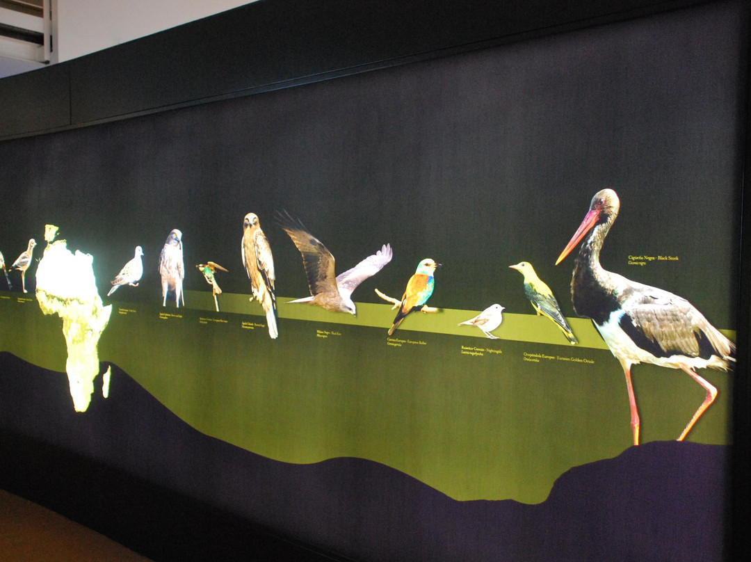 Centro de Visitantes Del Parque de Cabaneros