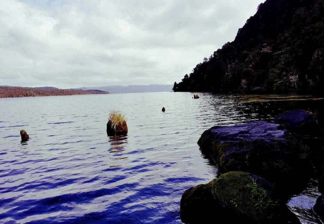 Lake Tarawera Outlet Camping