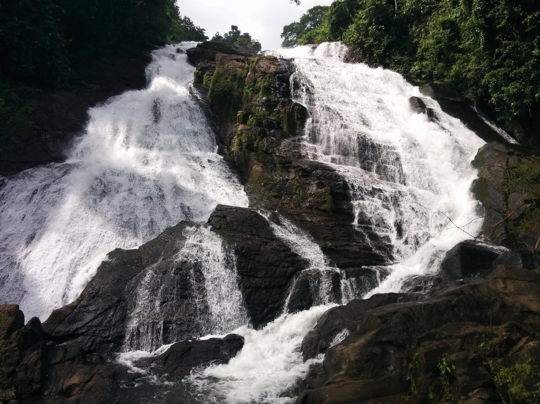 Charpa Waterfall景点图片