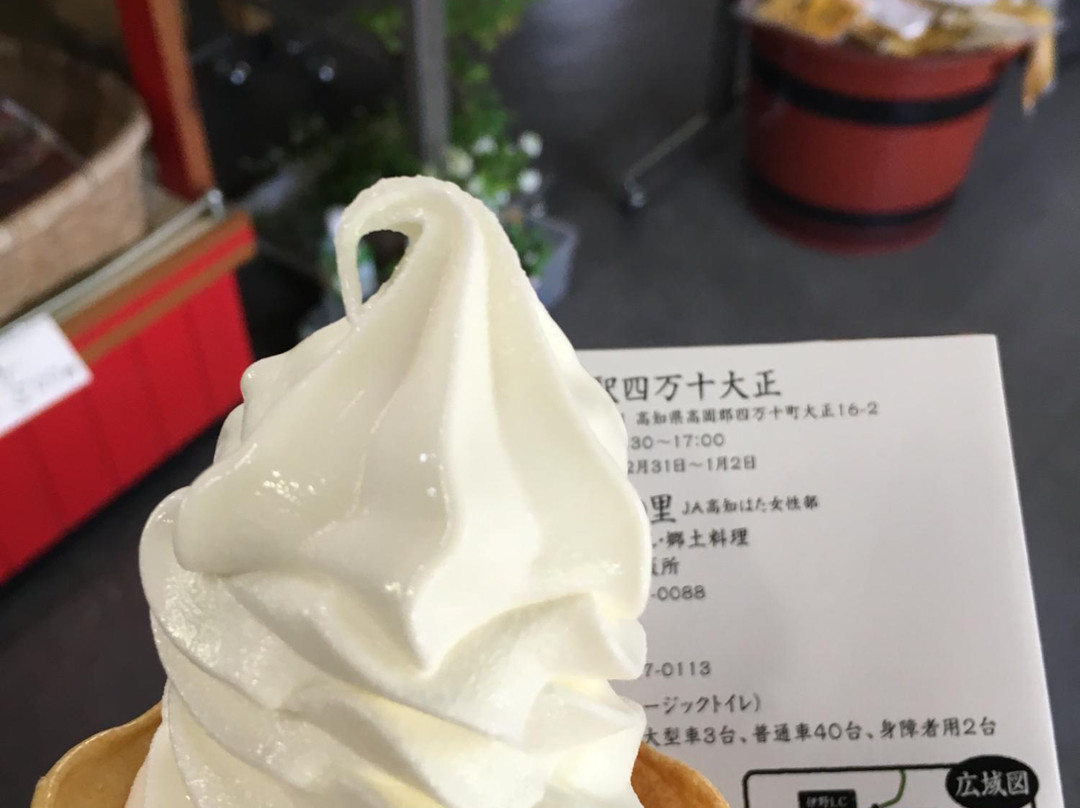 Shimanto Taisho Michi-no-Eki-四万十町必去景点