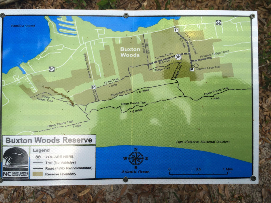 Buxton Woods Nature Trail景点图片