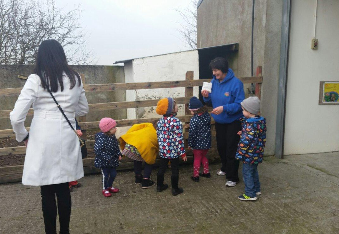 Graune Pet Farm & Play Centre-Ballyhaunis必去景点