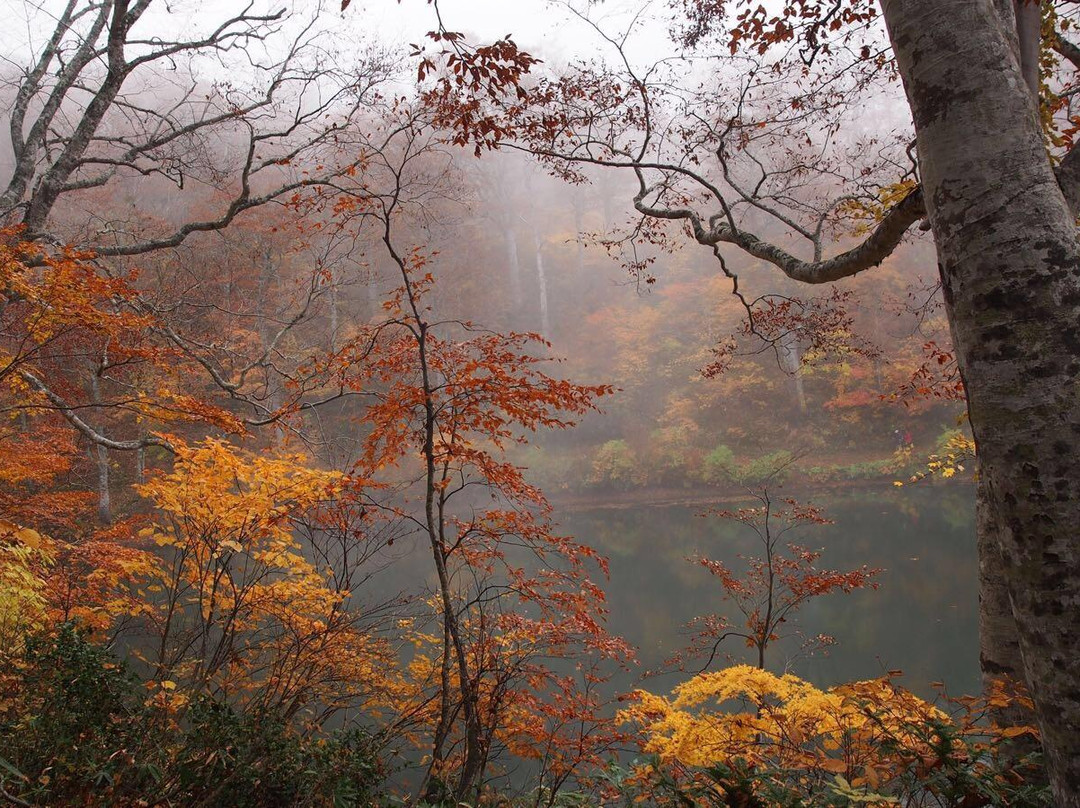 Kamaike Pond景点图片
