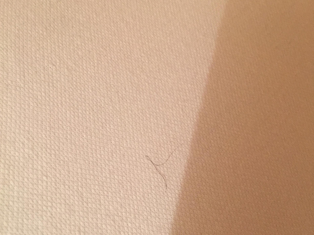 巴塞利亚酒店主图