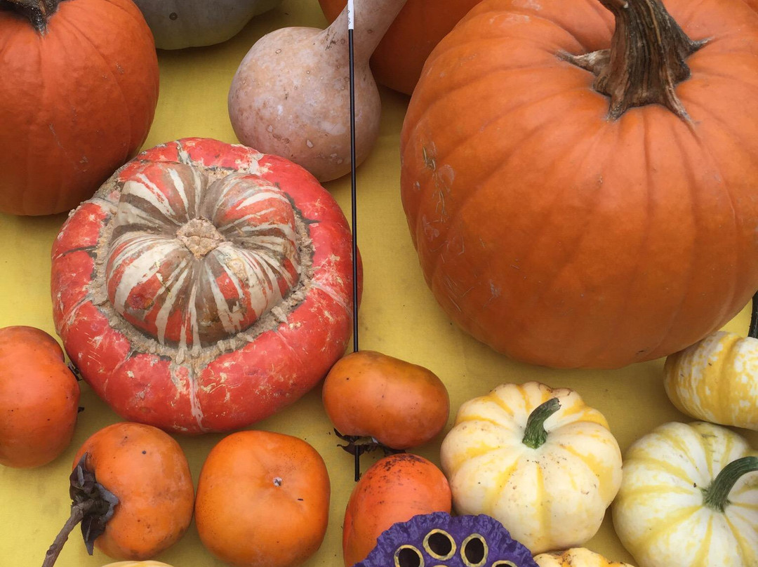 Red Stick Farmers Market-巴吞鲁日必去景点