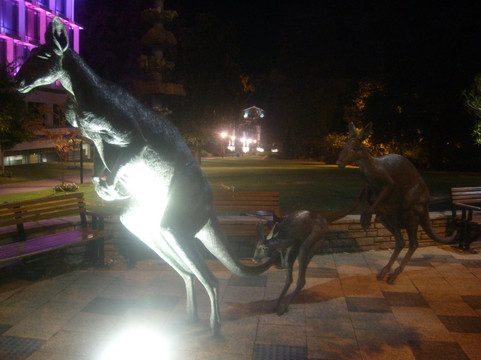 Council House-珀斯必去景点