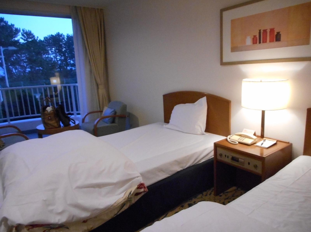 Shizunami Resort Swing Beach Hotel主图