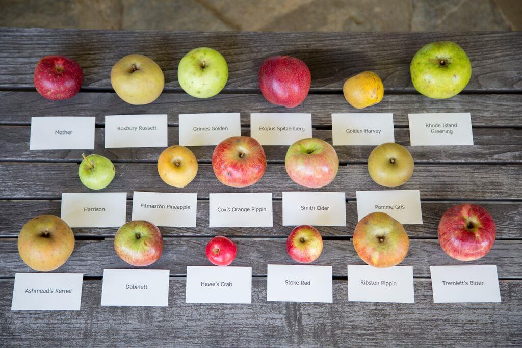 Foggy Ridge Cider景点图片