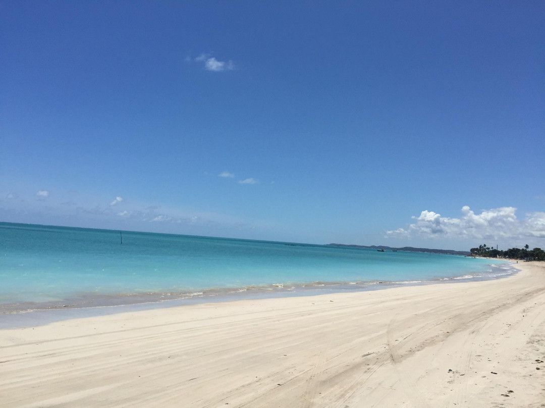Antunes Beach-Maragogi必去景点