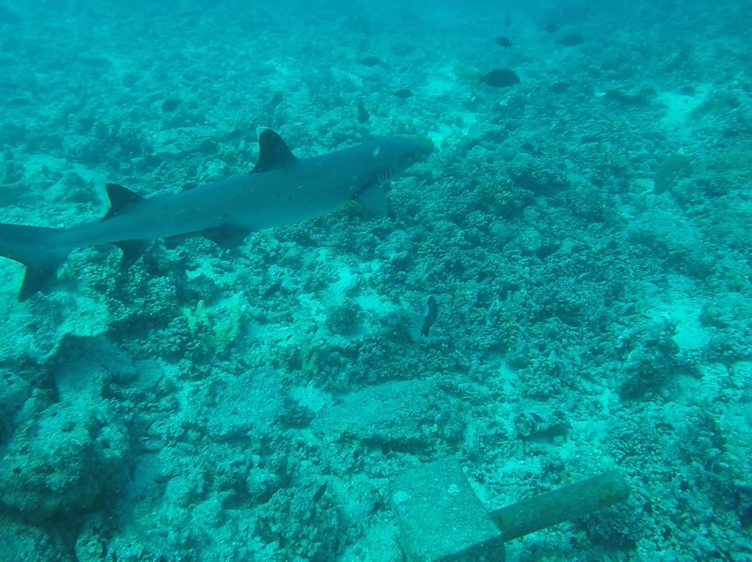 Aqua-Trek Mana-玛娜岛必去景点