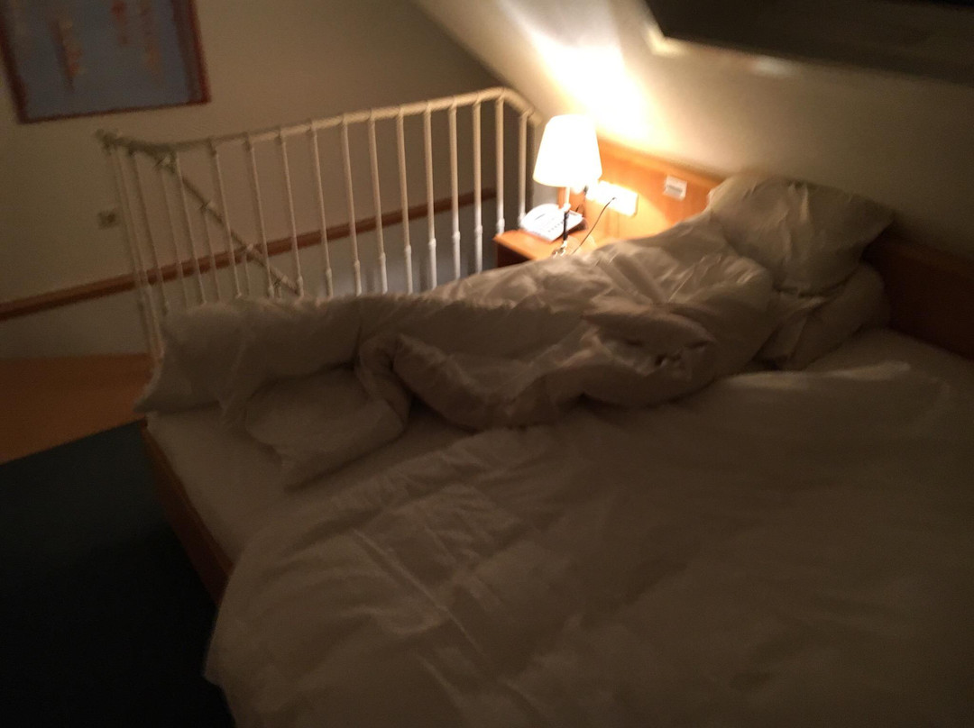 Gasthaus-Hotel Adler主图