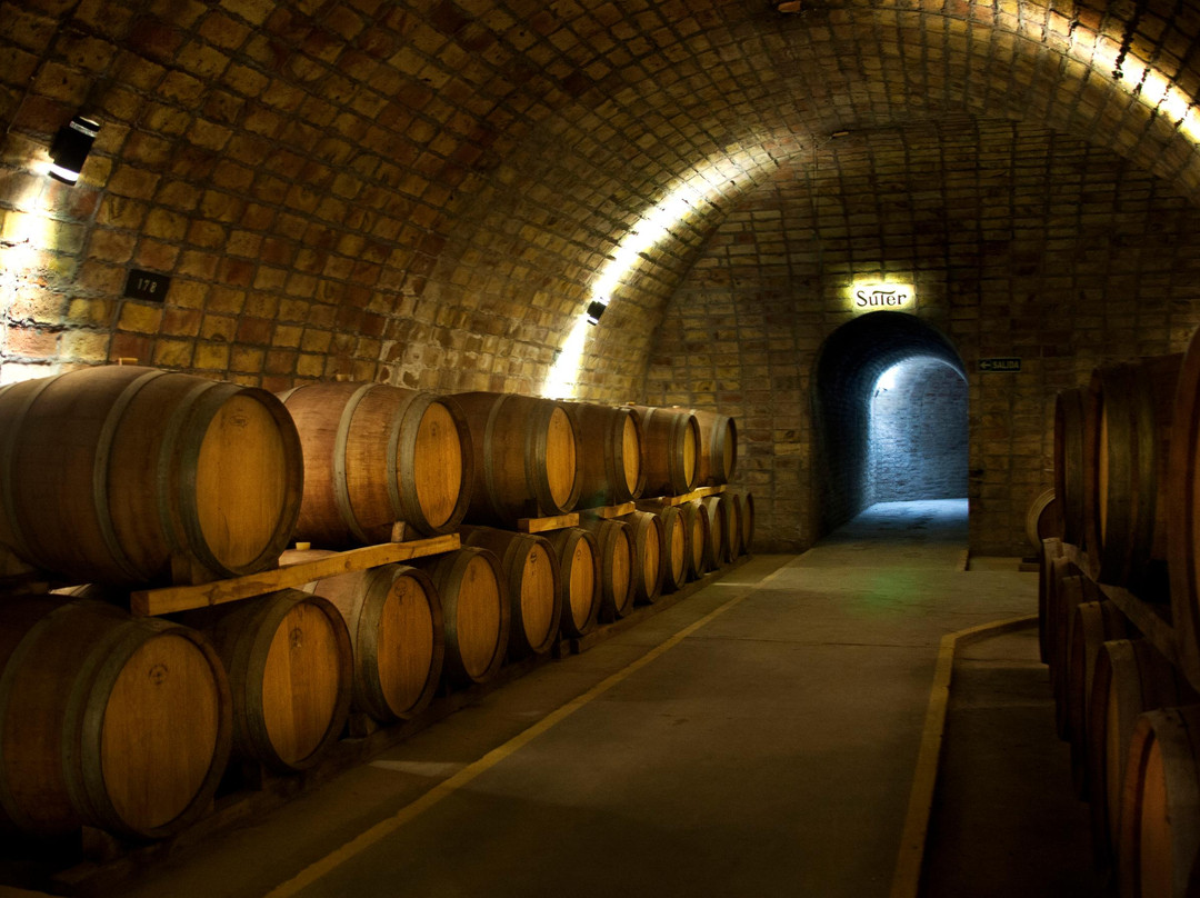 Bodega Suter-圣拉斐尔必去景点