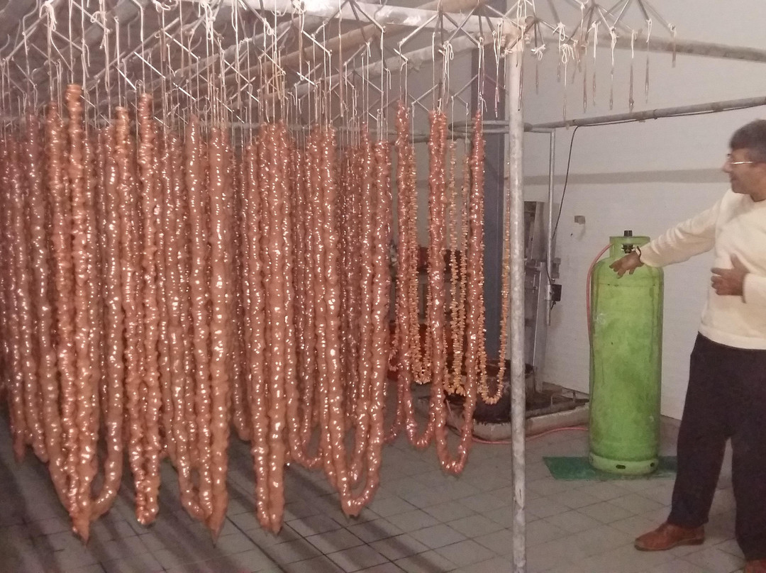 Larnaka Tourism Board - Thematic Tours & Routes-拉纳加必去景点