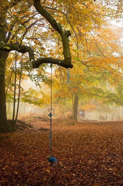 Snelsmore Common Country Park-纽伯里必去景点