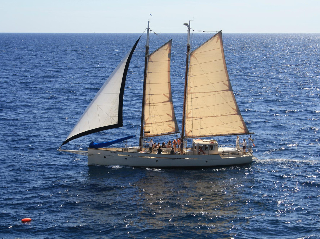 Vela Costa Brava景点图片