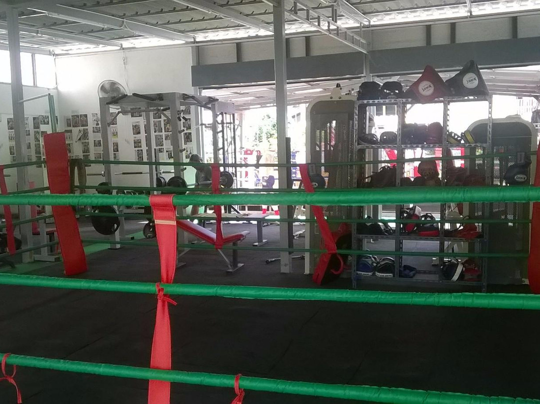 Pattaya Thai Boxing and Fitness Gym景点图片