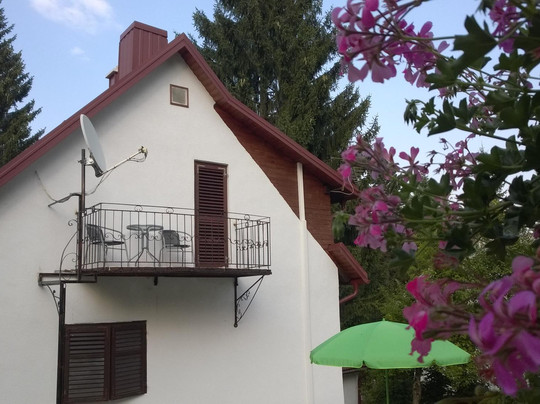 Javorina House主图