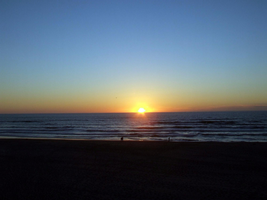 D River State Recreation Site-林肯城必去景点